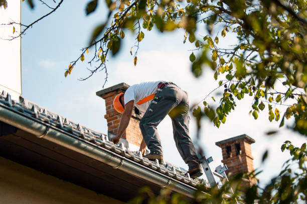Best Storm Damage Roof Repair  in Vandalia, IL